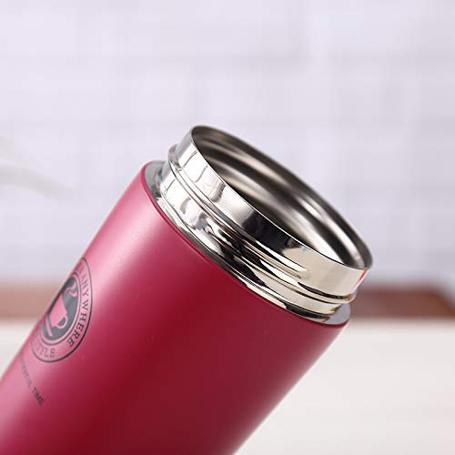 Rudra Exports Double Wall Vacuum Insulated Travel Stainless Steel Coffee 300ml (Red)