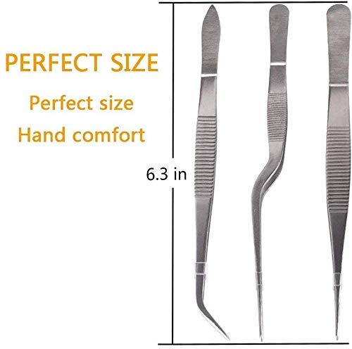 Rudra Exports Kitchen Cooking Culinary Tweezers, Stainless Steel Precision Tongs Medical Beauty Utensils, 6.3 Inches -3 Pieces Set