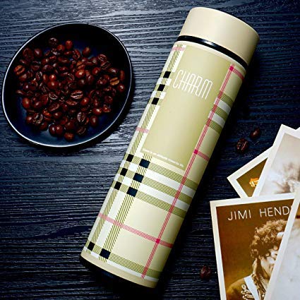 Rudra Exports Double Wall Vacuum Insulated Stainless Steel 480ml Beige(Charm)