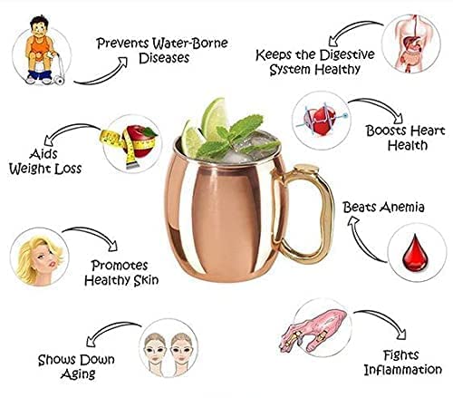 Rudra Exports Copper Yoga and Ayurveda Jala Neti Pot for Sinus, Nose Irrigation and Cleaning