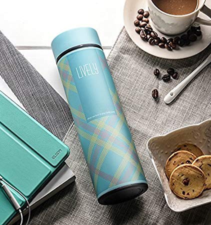 Rudra Exports Stainless Steel Double Wall Vacuum Insulated Flask 480 ml, Sky Blue