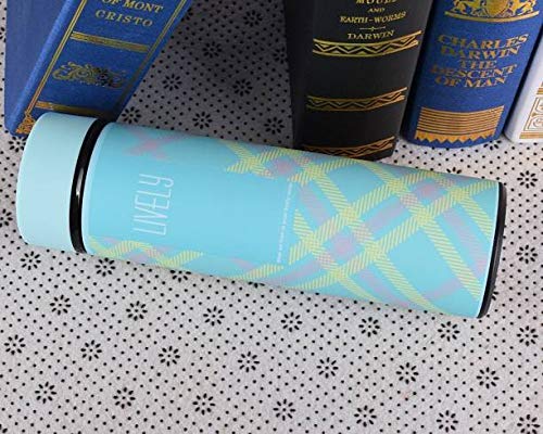 Rudra Exports Stainless Steel Double Wall Vacuum Insulated Flask 480 ml, Sky Blue