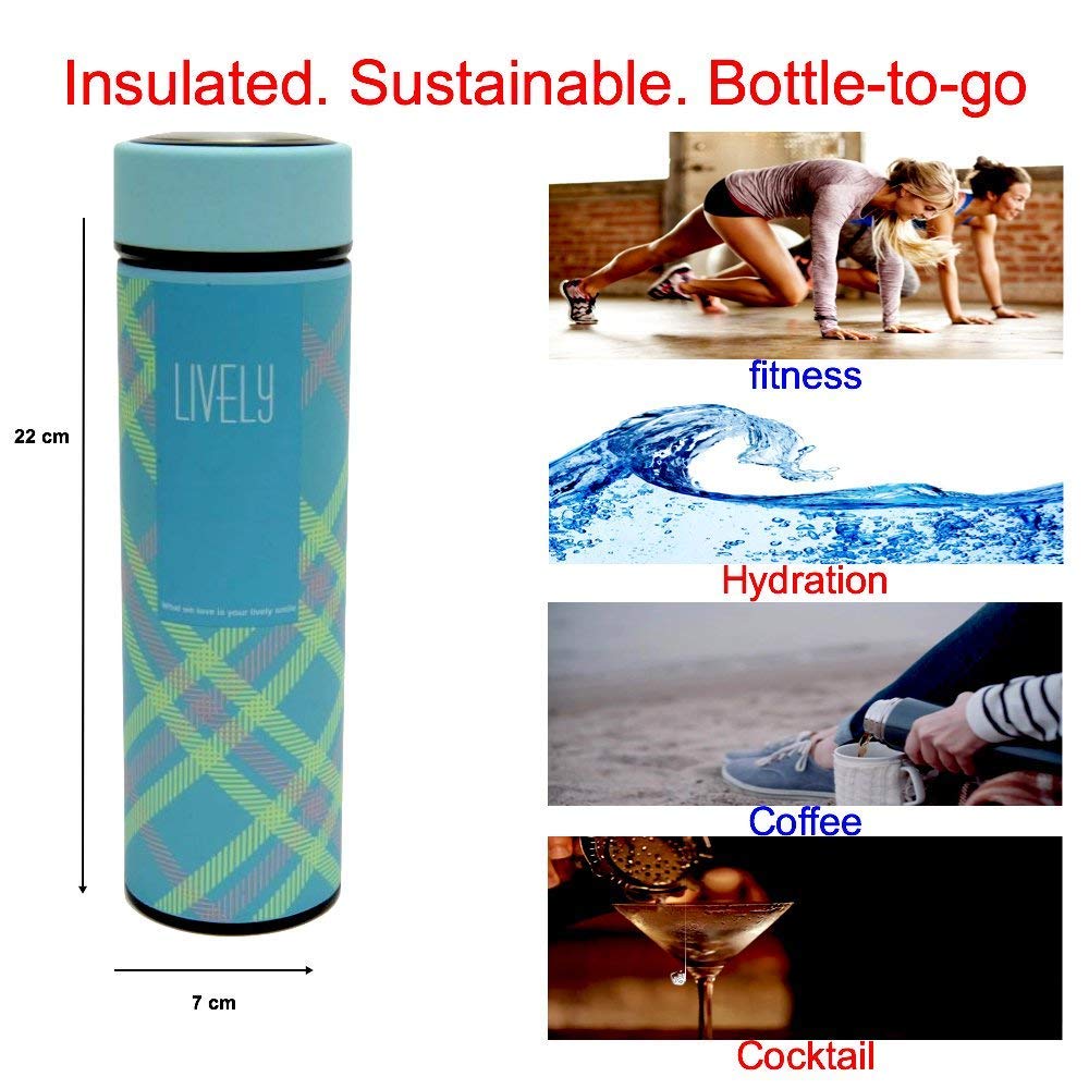 Rudra Exports Stainless Steel Double Wall Vacuum Insulated Flask 480 ml, Sky Blue