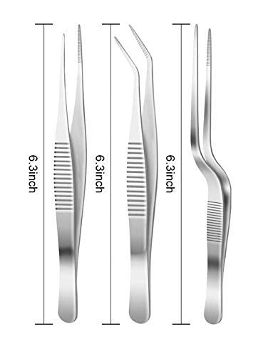 Rudra exports Kitchen Cooking Culinary Tweezers, Stainless Steel Precision Tongs, Medical Beauty Utensils, 6.3 Inches : 6 Pcs Set