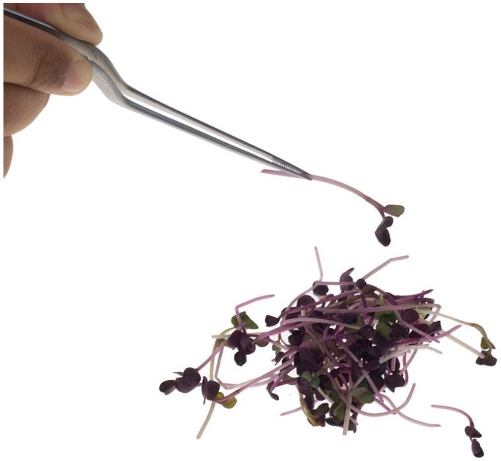 Rudra Exports Culinary Chef Tweezer 6.3 Inches, Food Placement Tweezer - 1 Pc.