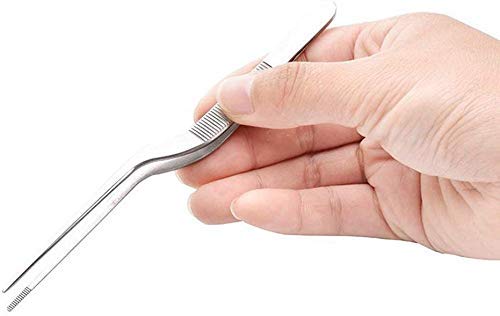 Rudra Exports Culinary Chef Tweezer 6.3 Inches, Food Placement Tweezer - 1 Pc.