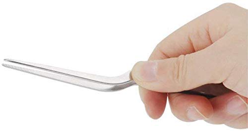 Rudra Exports Culinary Chef Tweezer 6.3 Inches, Food Placement Tweezer - 1 Pc.