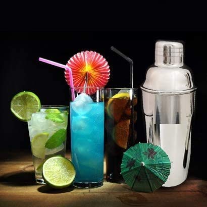 Rudra Exports Premium Cocktail Shaker with Stainless Steel Cobbler Shaker, Margarita Mixer: 8 Pcs